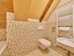 Apartment Roky - Dolní náměstí-3 by Interhome