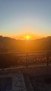 La PANOUSE Un nid dans les calanques
