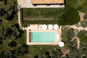 Tenuta degli Ulivi
