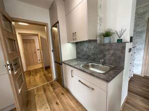 Duškova vila - apartmán Karolina