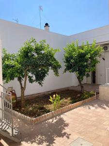 Villa Paradise