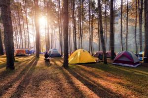 Glamping-Tent