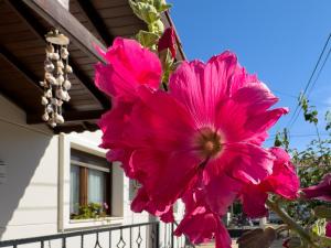 Luxury Stone Villa in the Heart of Datça for 10 People