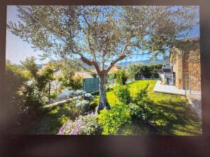 Elegant sea-view villa with private garden