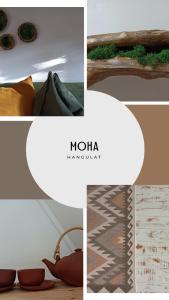 MOHA guesthouse