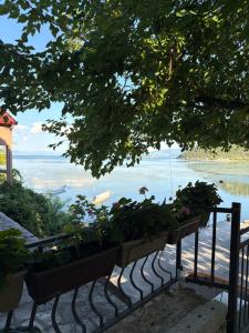 The Lakehouse