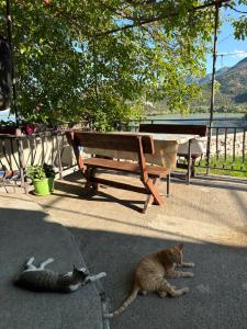 The Lakehouse