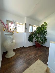 Villa A&B
