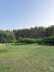 Zajęcza Zagroda - Cały dom na wyłączność nad jeziorem Lincjusz, 0,5ha sadu i lasu