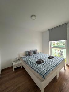 Cube Apartamenty