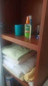 Zielony Azyl obszerny apartament z balkonem i garazem