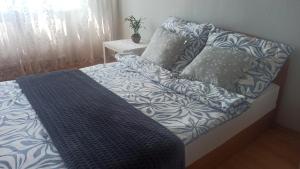 Zielony Azyl large 2 bedroom apartment with balcony and free parking