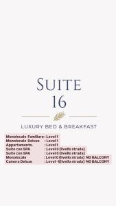 Suite16 & spa