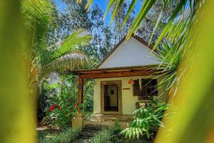 Nothing Else Like This in Chamarel - 6BR Estate