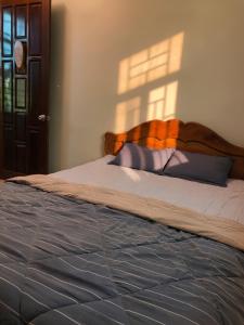 Mai Lão Tea Home