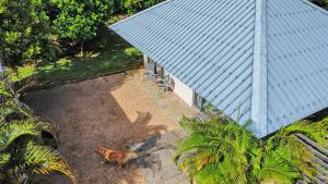 Calm guesthouse near Riviere Noire