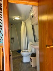 King Terelj Resort, Yurt with Modern Comfort