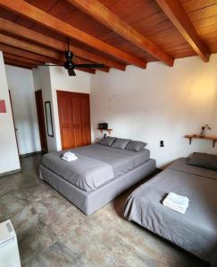 SUITE CONFORT 1 a 4 Personas