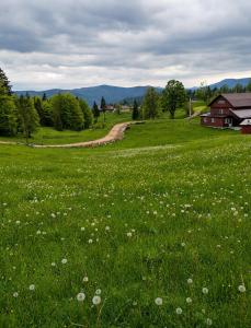 Cabana Elena