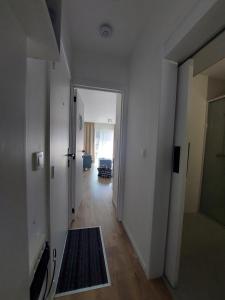 Vergeetmijnietjes aan zee - Oostende