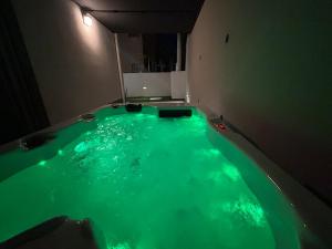 Huge Garden Cozy Apartment with jacuzzi