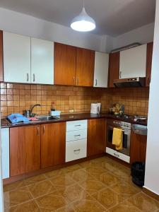 Apartment Zoi