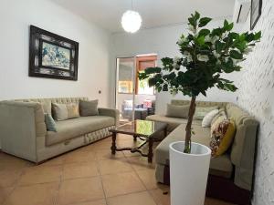 Beach and Pool Escape inMartil