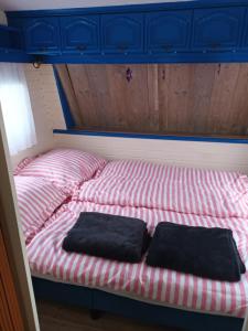 CHILLY WILLY Retro Caravan & Hot Tub