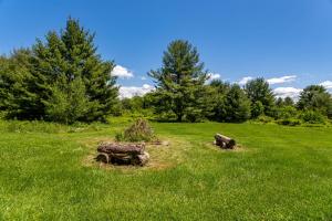 Wildcat Mountain Cabin - Private Views with Hot Tub