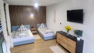 Bieszczadzki Horyzont Apartament DeLux