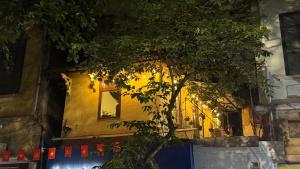 Zeleniy house