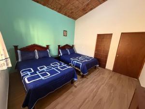 Casa, jardín, terraza, clima