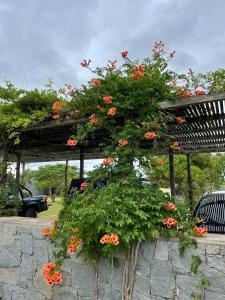 Luxury experience - Chacra in José Ignacio