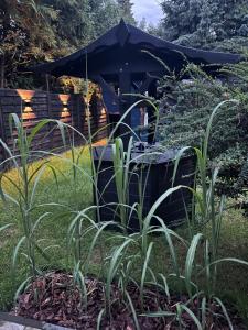 Apartament Morgan