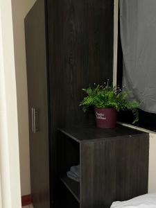 Habitación Tiburon