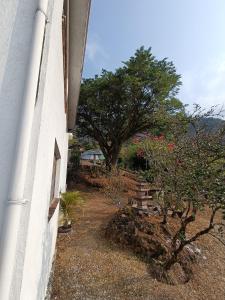 Casa Flores