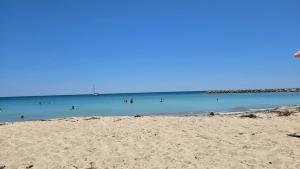 your paradise with 1Gb WiFi for remote work