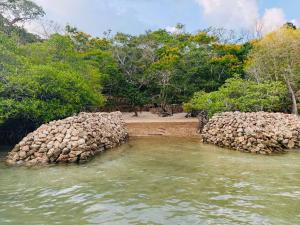 Alligator Island