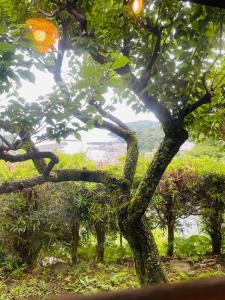 Harbor View Japanese Home Monthly Stay 30N