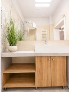 Main Square Platan Loft Collection