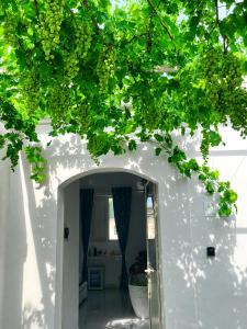 Zagara Suite