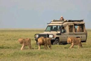 Empiris Lodge