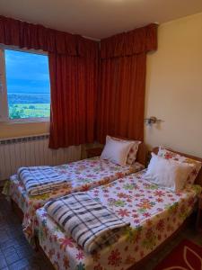 Guest House Bed and Birding