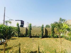 The Garden Nest - luxury Villa