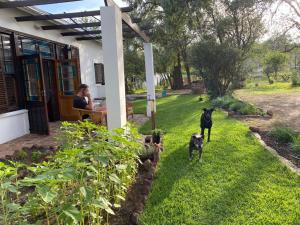 Playwrights House, Nieu-Bethesda