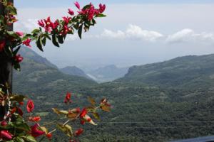 KarSa Woods, Kodaikanal