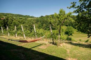Tourist farm JAKLJEVIČ