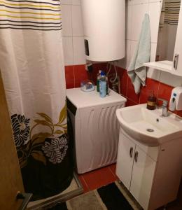 Ethno apartment Pasha