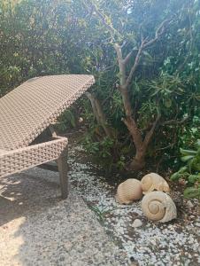 PICCOLA OASI Ventimiglia