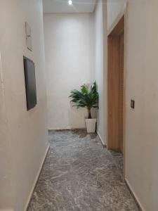 حدائق تمارة